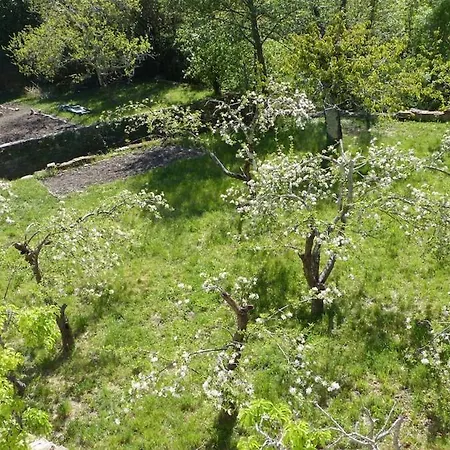 La Glepe Appartamento Avèze